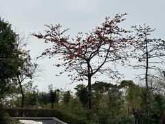 -飞来湖湿地公园
