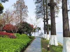 -东湖听涛景区