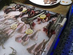 -吉布鲁牛排海鲜自助(成都大悦城店)