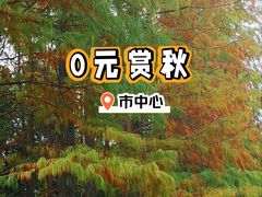 -上海白云观
