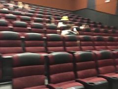 -上影国际影城(普陀绿地缤纷城店)