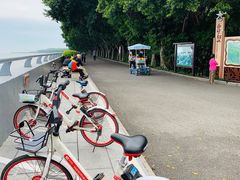 -大湾区中央湿地公园
