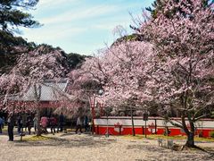 -醍醐寺