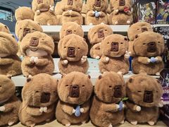 -万达广场(渭南高新店)