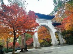 -灵顺寺