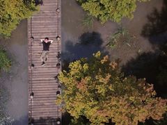 -桤木河湿地公园