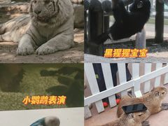 -北京野生动物园