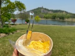 -上海辰山植物园