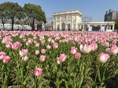 -桔子酒店(上海西藏北路地铁站店)