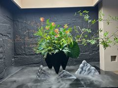 -宫七SPA·高端Massage(浦东大道店)