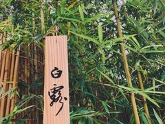 -天水蔬食料理(树德之光店)