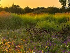 -汉长安城未央宫国家考古遗址公园
