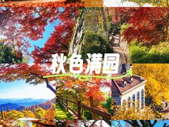 -莫干山风景区