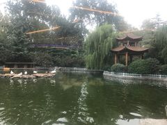 -山东大厦