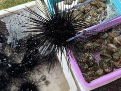 -霞涌市场海鲜摆卖区