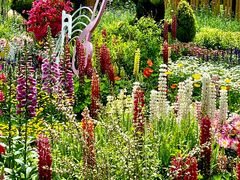 -上海共青森林公园