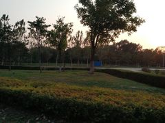 -蒲河岛湿地公园