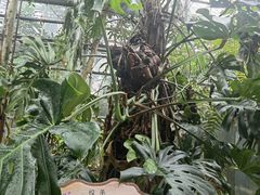 -南山植物园