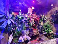 -醉小酒馆·川菜·江湖菜·重庆菜(观音桥旗舰店)