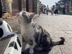 -大理古城