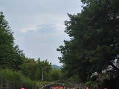 -天目湖松岭竹海漂流