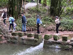 -凤栖山