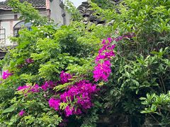 -新疆沙湾大盘鸡(重师店)