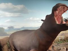 -陕西自然博物馆