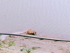 -重庆雨台山风景区