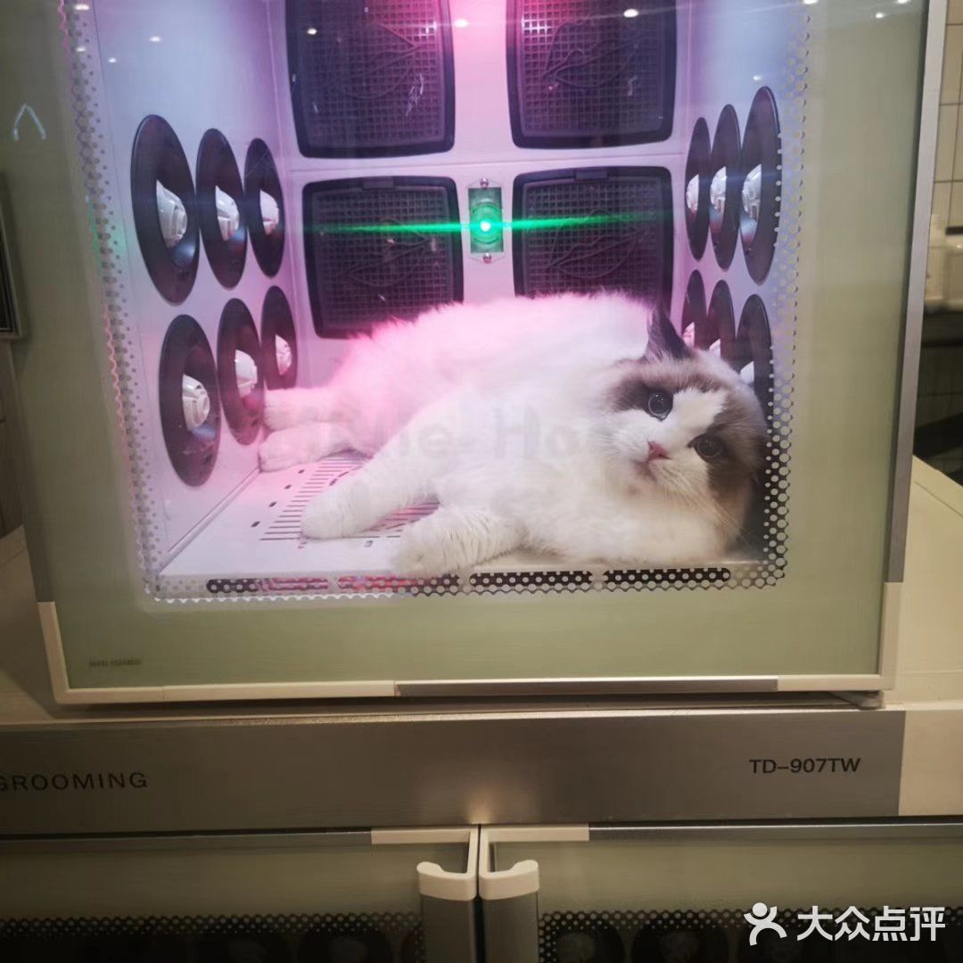 洗完澡，又美美哒