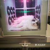 洗完澡，又美美哒