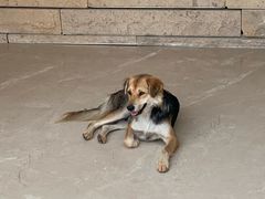 -盘龙城国家考古遗址公园