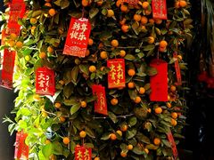 -富力丽思卡尔顿酒店·香荟全日制餐厅