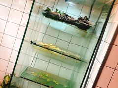-百味源炭火烤翅 ·夜市大排档(酒仙桥店)