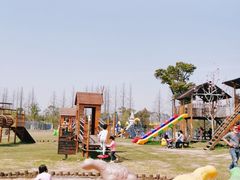 -上海长兴岛郊野公园