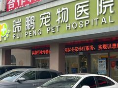 -瑞鹏宠物医院(大运分院)