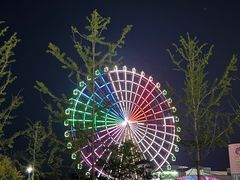 -琴岛之星摩天轮