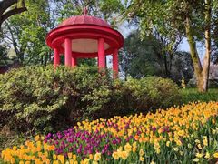 -南山植物园