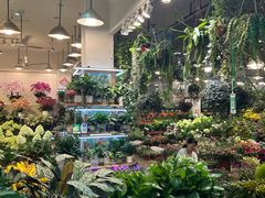 -双季花艺园艺市场(浦东店)