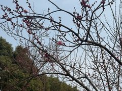 -敬亭山风景名胜区