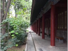 -西安碑林博物馆