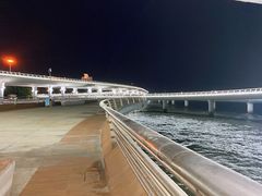 -演武大桥观景平台