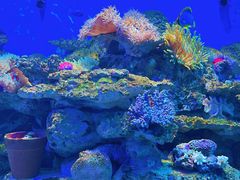 -左海海底世界