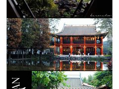 -顺峰山公园