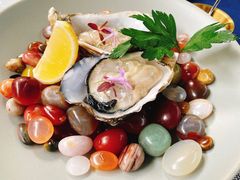 -ZHAO赵·牛扒坊(仁和新城店)
