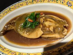 红烧河豚-肆月河豚·新淮扬(金融街店)