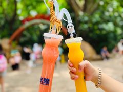 -广州长隆野生动物世界
