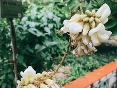 -广州神农草堂中医药博物馆