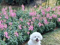 -东莞植物园