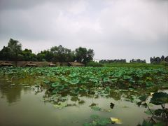 -乌村